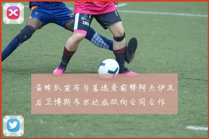 黄蜂队宣布与落选秀前锋阿杰伊及后卫博斯韦尔达成双向合同合作